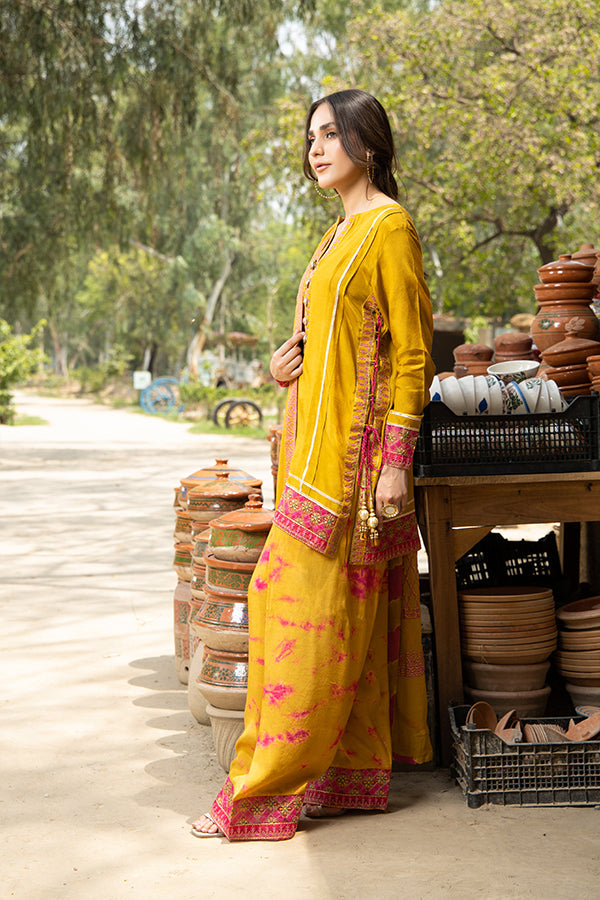 Arif Ashraf - Palkii
