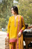 Arif Ashraf - Palkii