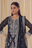 Rizwan Beyg Design - Muradabad - Organza Net - Navy Blue - 2 Piece