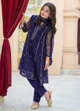 Modest Embroidered Crinkle Suit Blue 3 Piece