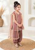 Modest 3 Piece Net Embroidered Tea Pink Suit