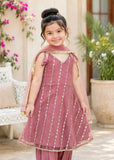 Modest 3 Piece Net Embroidered Pink Frock