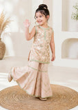 Modest 3 Piece Textured Banarsi Peach Gharara