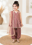 Modest 3 Piece Net Embroidered Tea Pink Suit