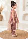 Modest 3 Piece Net Embroidered Tea Pink Suit