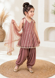 Modest 3 Piece Net Embroidered Tea Pink Suit