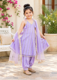 Modest 3 Piece Purple Net Embroidered Suit