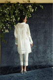 Insam - Hasil - Studio by TCS