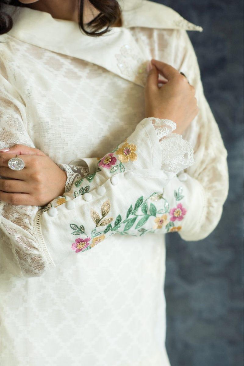Insam - Hasil - Studio by TCS