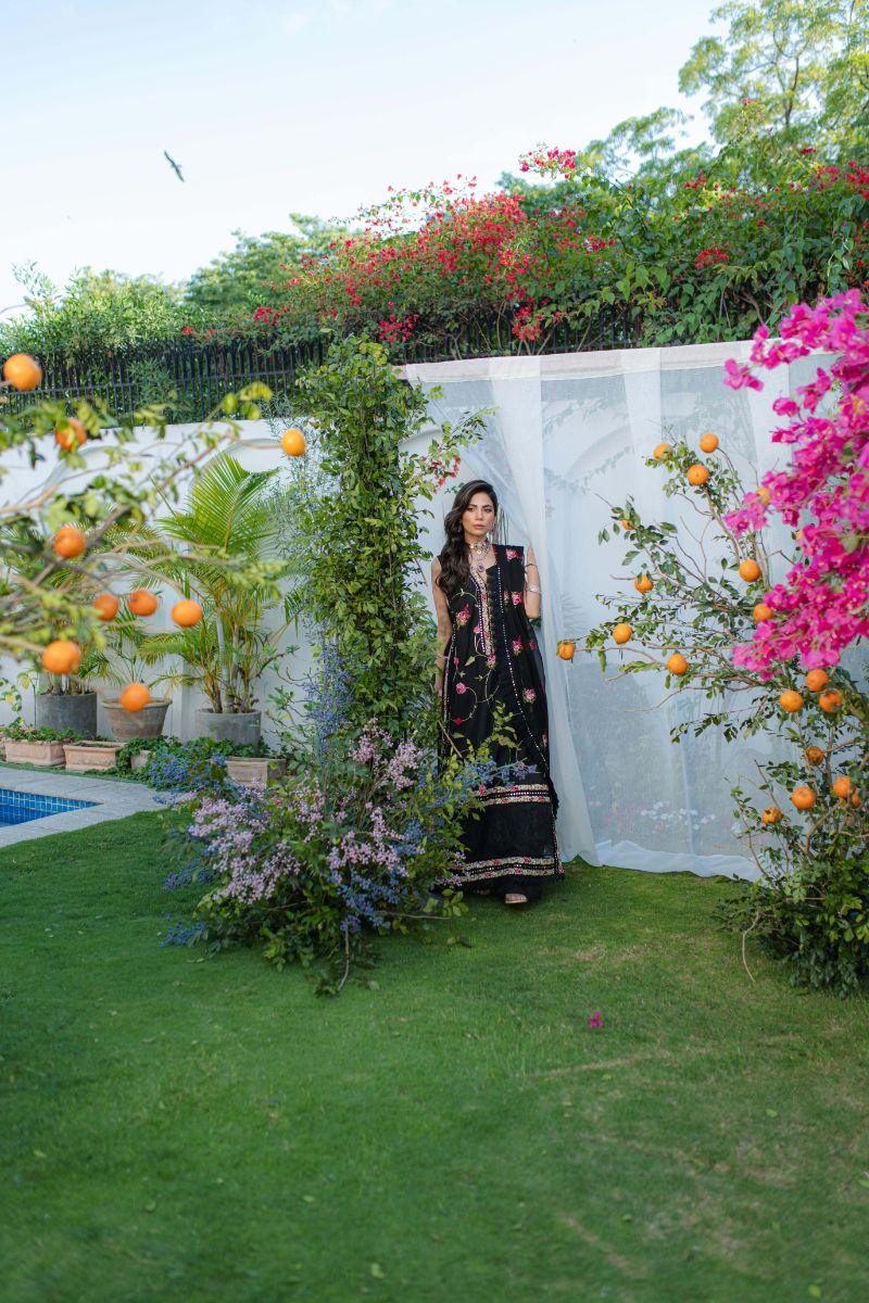 Shehrnaz - SHK-1262 - Black - Chiffon - 3 Piece
