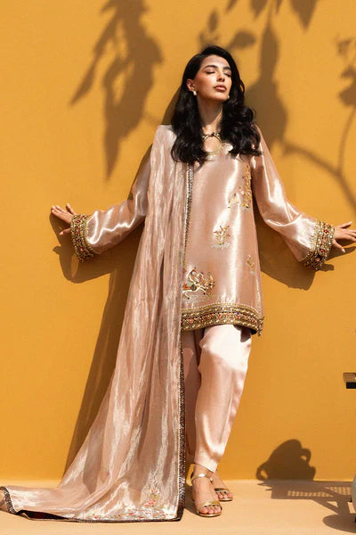 Sania Maskatiya - Manira Tissue,Organza Suit For Women - Rose Quartz 3 Piece