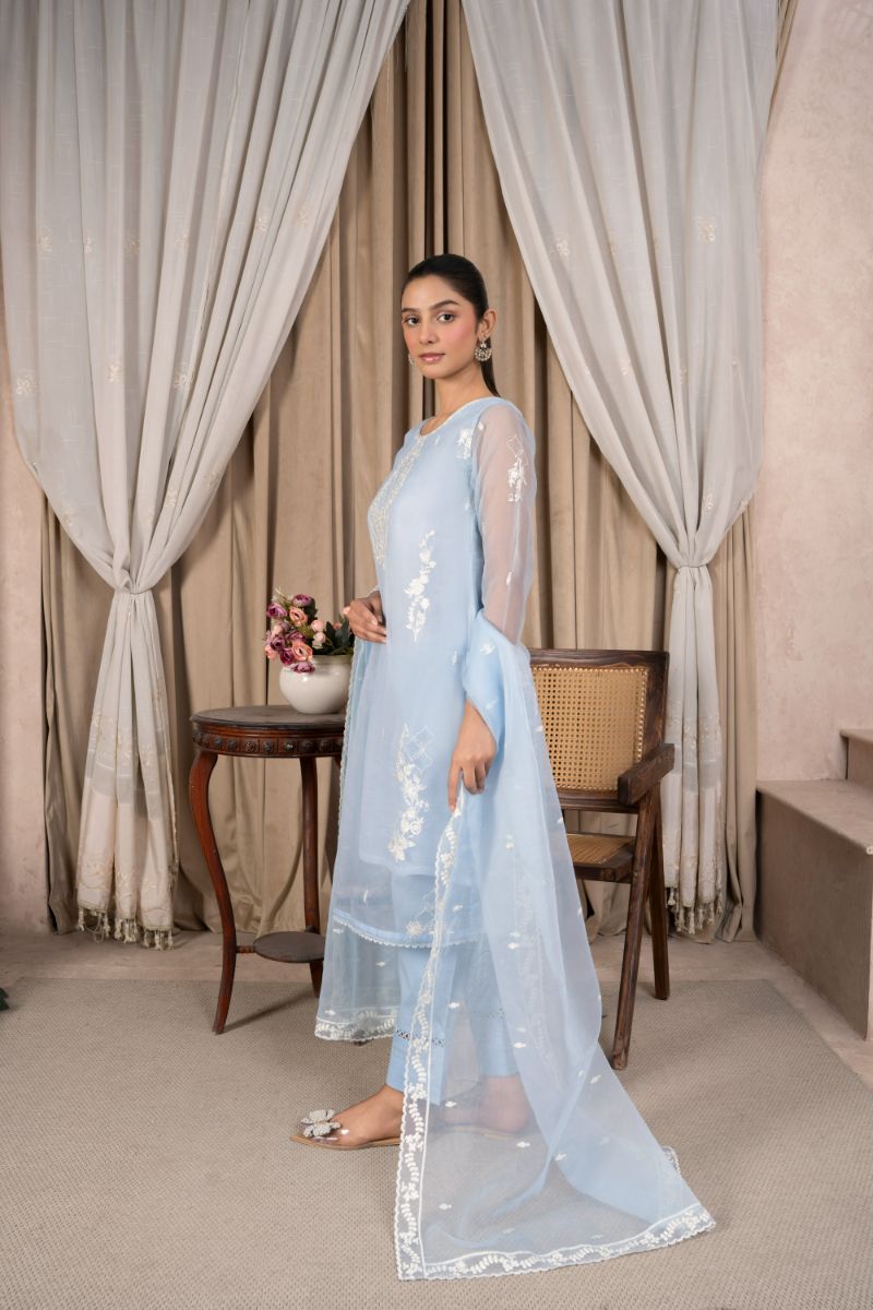 Reema Ahsan - Nayma - Organza & Cotton - Ice blue - 3 Piece