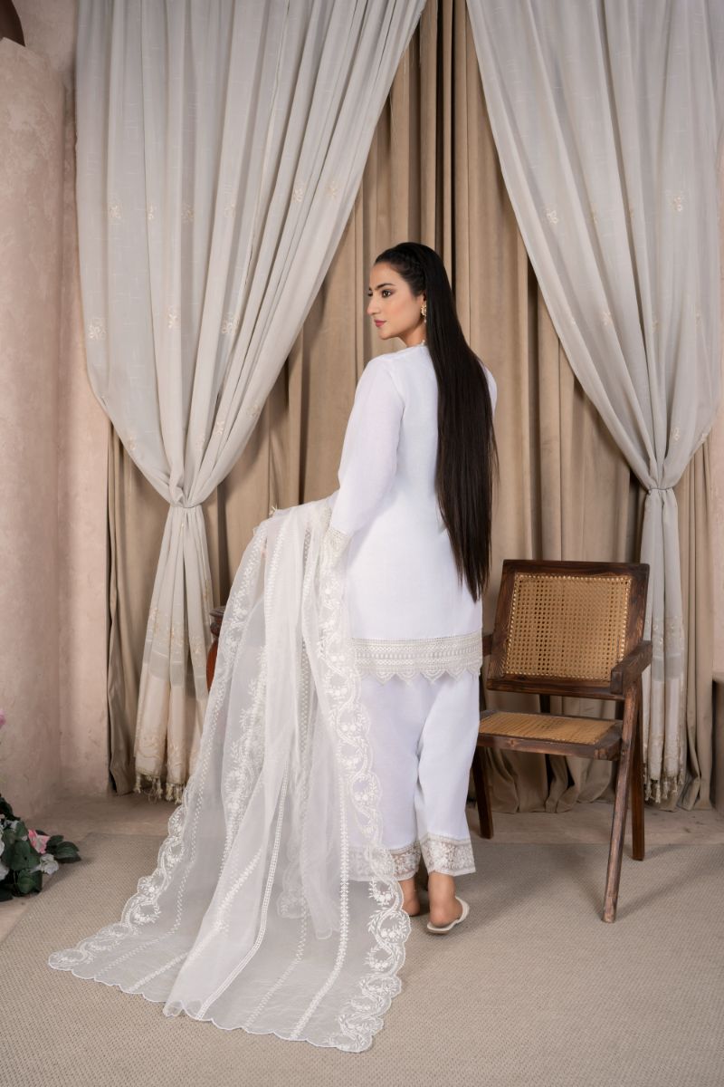 Reema Ahsan - Nazaa - Lawn & Organza - White - 3 Piece