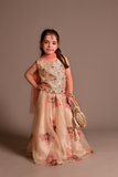 Cheeco Chic - Maisoori Net Lehanga For Girl - Gold - 3 Piece