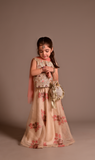 Cheeco Chic - Maisoori Net Lehanga For Girl - Gold - 3 Piece