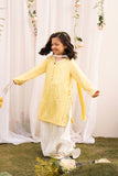 Hummingbirds - Basant Mirror and Thread embroidered Sharara Set 4 Pcs For Girl