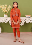 Modest - Embroidered Brown Khaddar Suit For Girl - 3 Piece