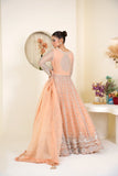 Mina Muse Ciao Lehnga choli / Sharara Peach 3 Piece