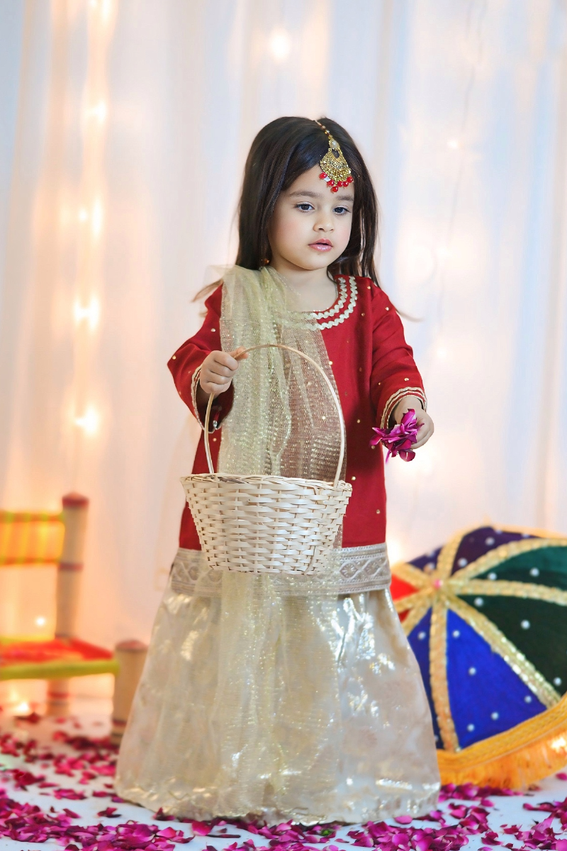Mom4Little - Red lehenga set - Silk & Organza with Net - 3 Piece