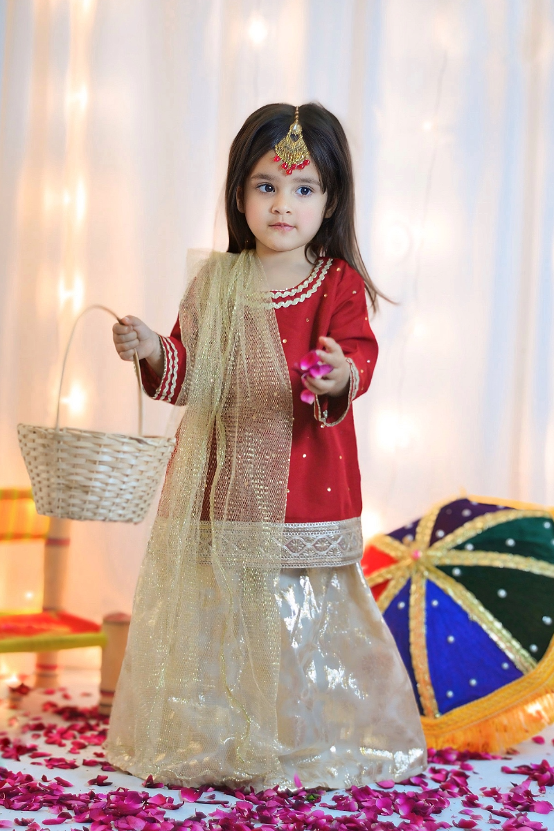 Mom4Little - Red lehenga set - Silk & Organza with Net - 3 Piece