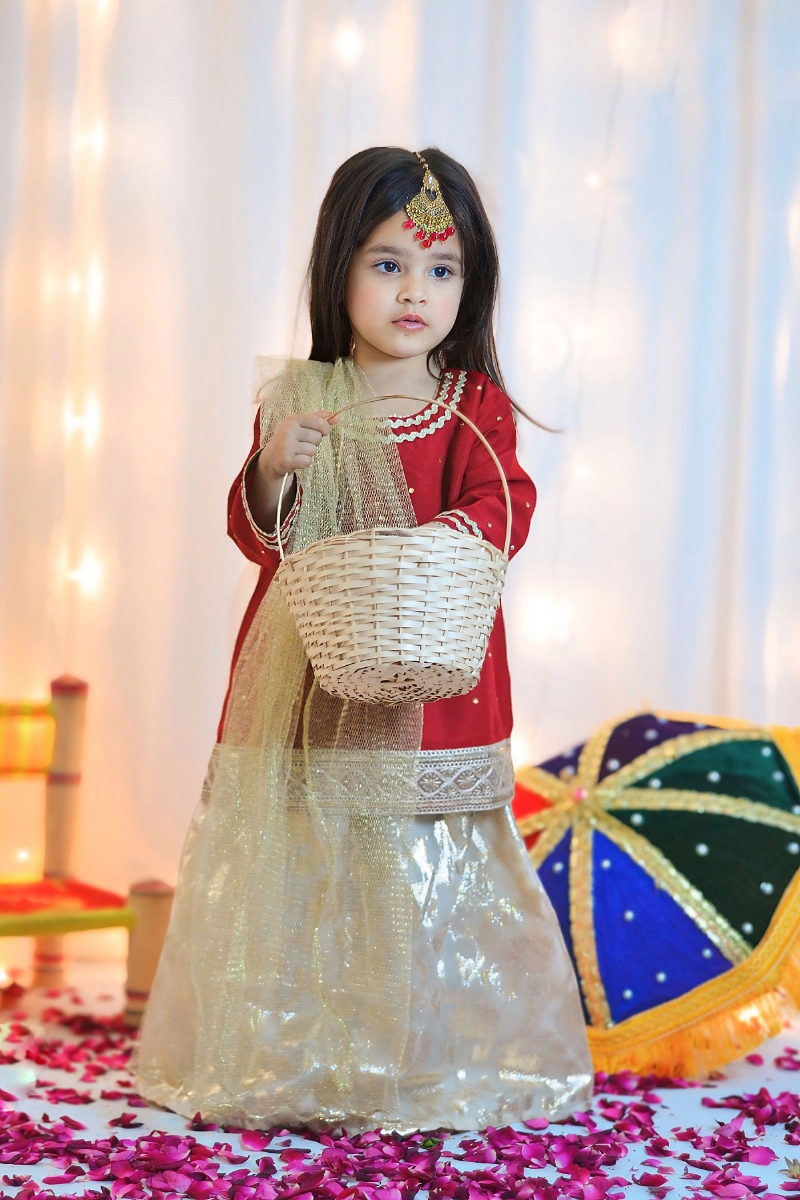 Mom4Little - Red lehenga set - Silk & Organza with Net - 3 Piece