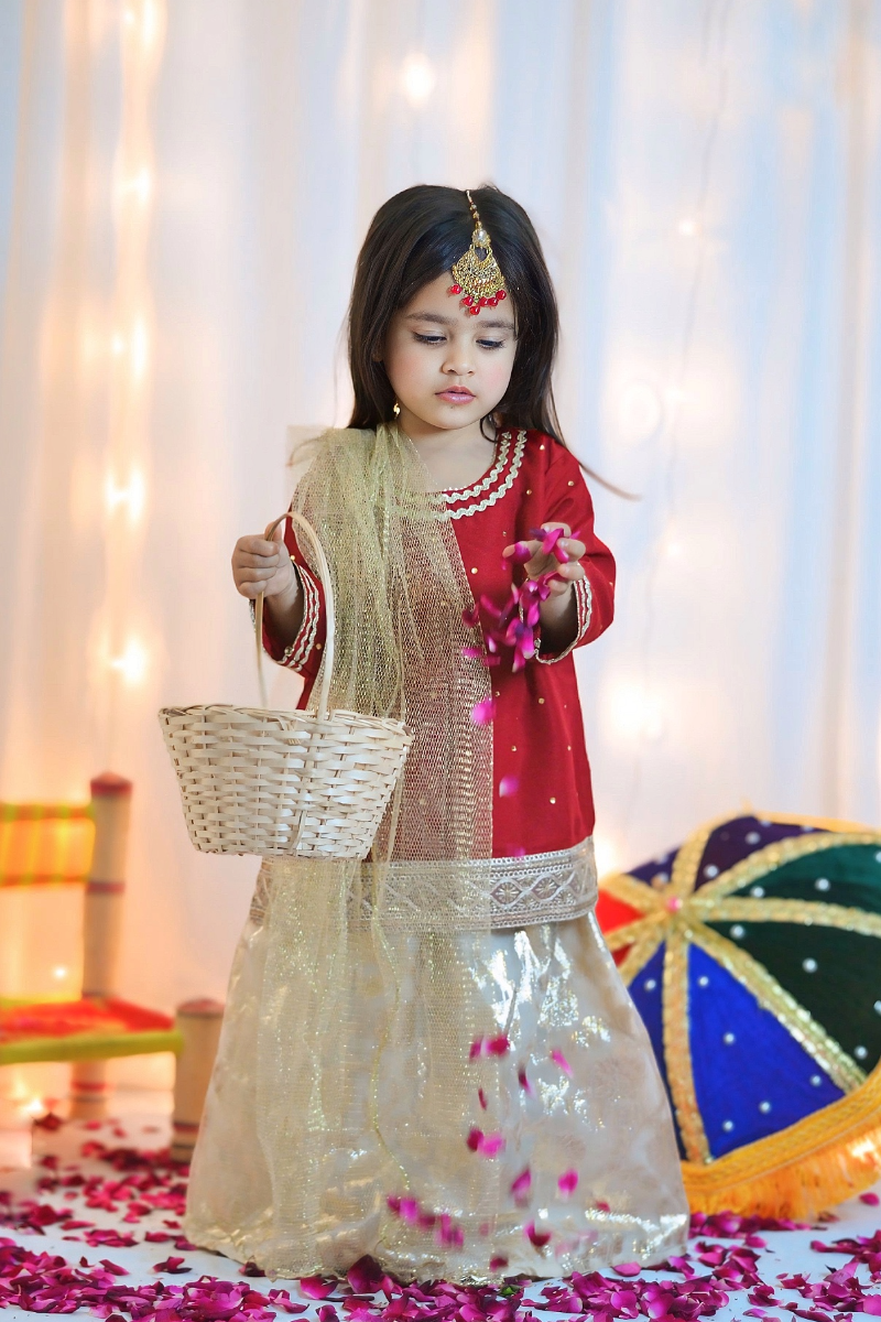 Mom4Little - Red lehenga set - Silk & Organza with Net - 3 Piece
