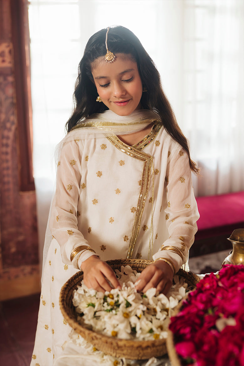 Hummingbirdspk - Nargis - White & Gold embroidered Chiffon Angrakha Suit (4-Piece)